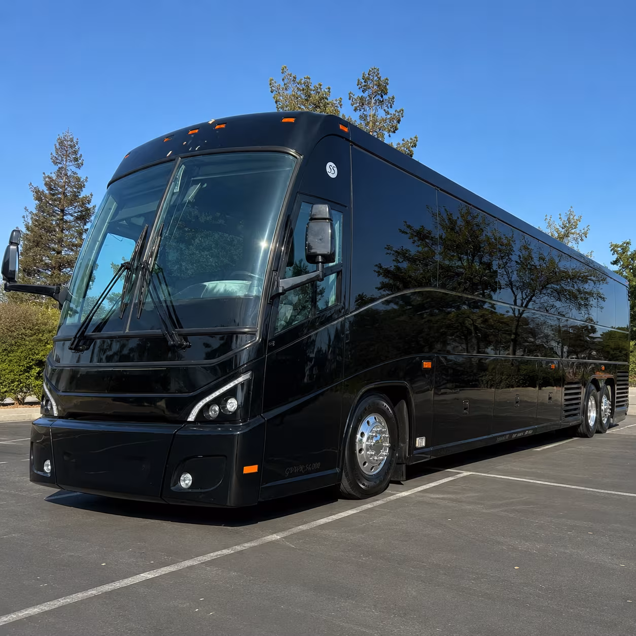 clearwater sporting event transportation